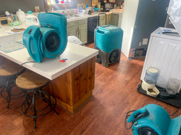 Best Local water damage restoration  in East Jordan, MI